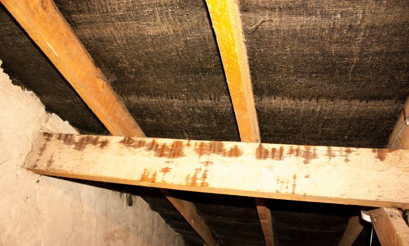 Crawl Space Remediation in Littleton, CO